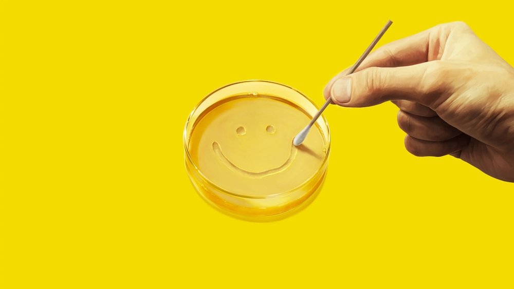 Phim Kẻ Lạc Loài