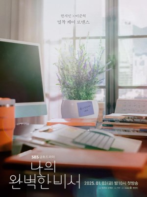 Xem Phim Chàng Thư Ký Hoàn Hảo Online