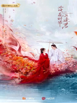 Xem Phim Mùa Hoa Rơi Gặp Lại Chàng Online