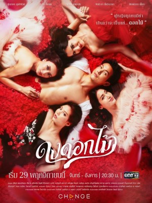 Xem Phim Rừng Hoa Rực Lửa Online