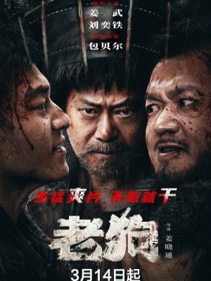 Xem phim Phá Cục online