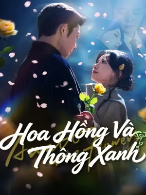 Xem Phim Hoa Hồng Và Thông Xanh Online