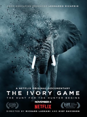 Xem Phim Cuộc Chiến Ngà Voi Online