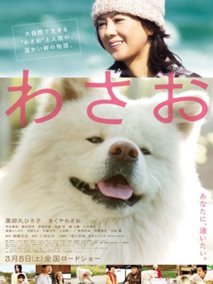 Xem Phim Wasao Online